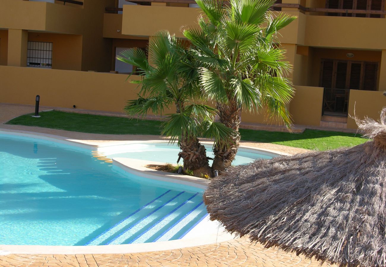 Piscina en Albatros Playa 3 - Resort Choice